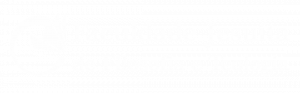 AVA -  FAJE